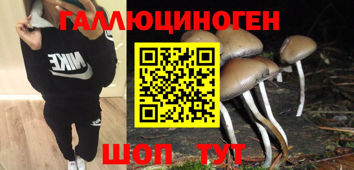 Псилоцибиновые грибы ЛСД Красноуфимск